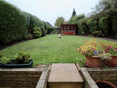 Picture 11